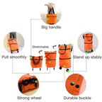 Foldable Light Weight Polyester Shopping Trolley Bag for Vegetables, Grocery, Travel Dual Wheel Waterproof Trolley Bag (Multicolor)